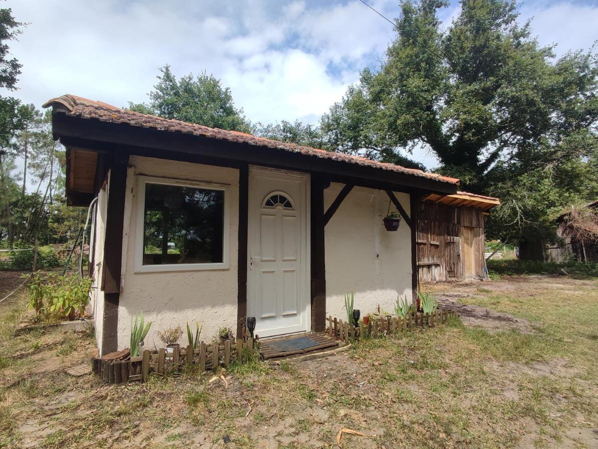 Villa La Baraque Des Artistes Laharie Esterno foto